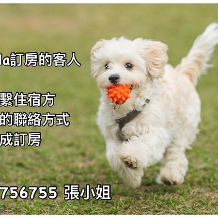 Haibian Mingren 50 Hualien City Εξωτερικό φωτογραφία