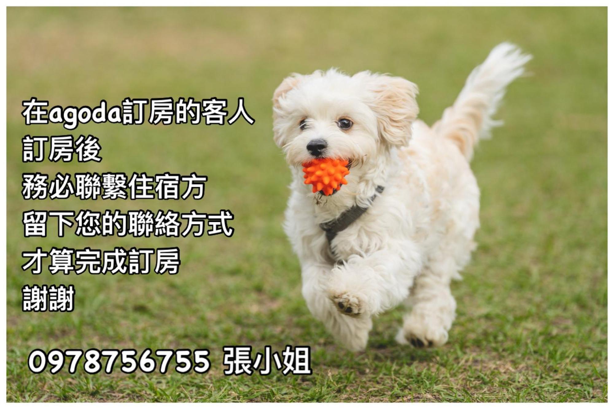 Haibian Mingren 50 Hualien City Εξωτερικό φωτογραφία